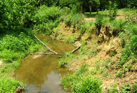 Eroding streambeds