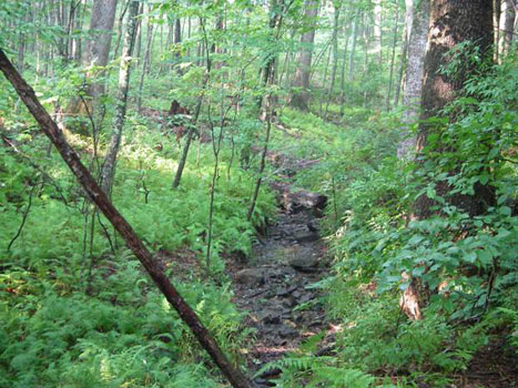 Rappahannock River Basin